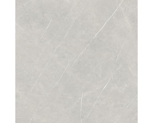 Wand- en vloertegel Always Pearl Pulido grijs 120x120 cm gerectificeerd Wand- en vloertegel Always Pearl Pulido grijs 120x120 cm gerectificeerd