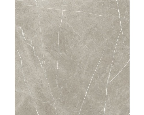 Wand- en vloertegel Always Pulido taupe 120x120 cm gerectificeerd Wand- en vloertegel Always Pulido taupe 120x120 cm gerectificeerd