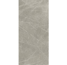 XXL Wand- en vloertegel Always Taupe Natural mat 120x260 cm 6 mm gerectificeerd-thumb-1