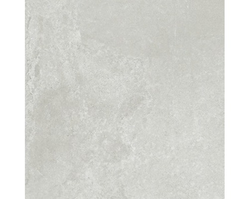 Wand- en vloertegel Fresh Ash Natural grijs 60x60 cm gerectificeerd