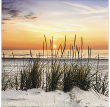 Strandhaver op het strand met zonsondergang
