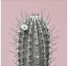 Cactus met stekels en een bloem
