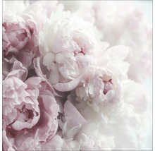 Close-up van pioenrozenbloemen