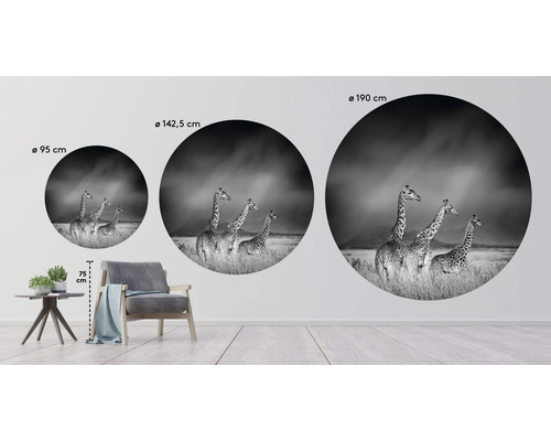 Wanddecoratie met giraffemotief in drie formaten