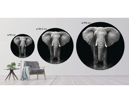 Wanddecoratie met olifantenmotief in drie verschillende formaten