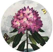 Illustratie van een rododendronbloem met een bij en een vlinder
