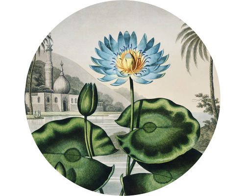 SPECIAL DECORATION Fotobehang vlies Thornton Waterlelie ø 95 cm Illustratie van een blauwe waterlelie met bladeren, meer en gebouw op de achtergrond