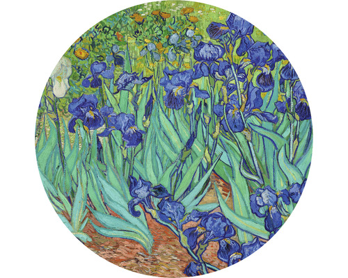SPECIAL DECORATION Fotobehang vlies Van Gogh Irissen ø 95 cm