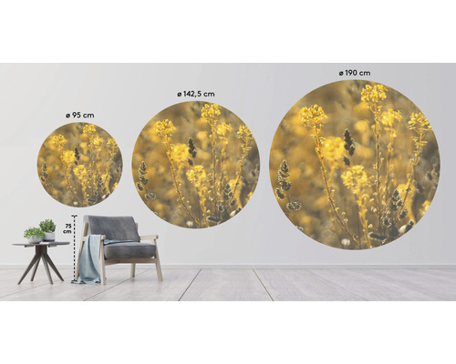 Drie ronde muurschilderingen met plantmotieven in verschillende formaten als kamerdecoratie