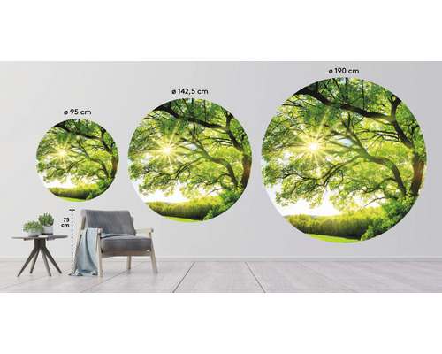 Ronde muurschilderingen met boomlandschap in drie verschillende maten