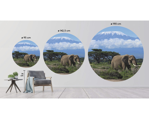 Decoratieve muurafbeelding met olifant in verschillende formaten