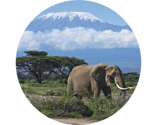SPECIAL DECORATION Fotobehang vlies Kilimanjaro Olifant ø 95 cm-0