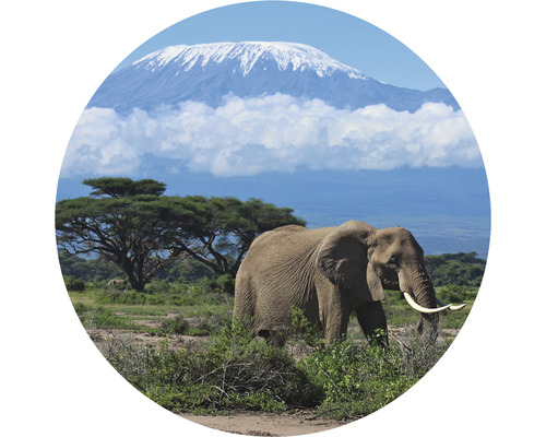 SPECIAL DECORATION Fotobehang vlies Kilimanjaro Olifant ø 95 cm Een olifant op de Afrikaanse savanne voor de Kilimanjaro.