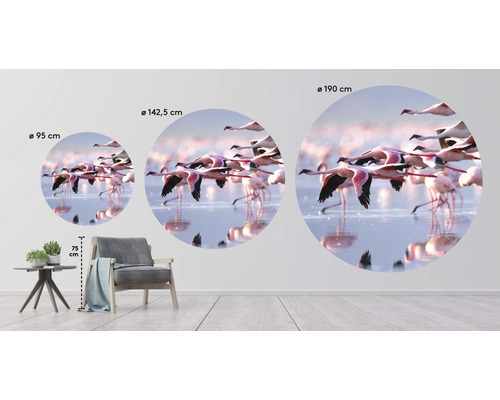 Fotobehang met flamingo''s in drie verschillende maten