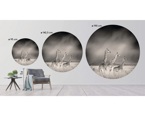 Wanddecoratie met giraffemotief in drie verschillende formaten