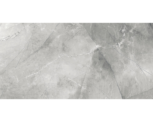 Wand- en Vloertegel Pulpis grijs gepolijst 60x120 cm gerectificeerd