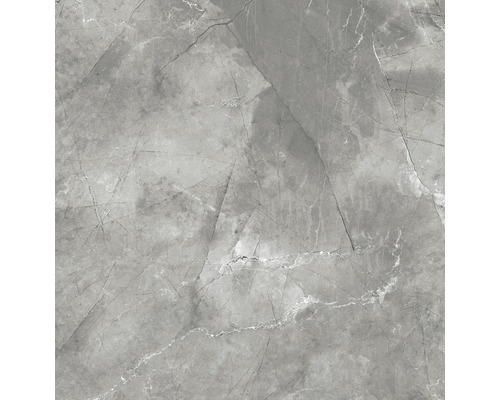 Wand- en Vloertegel Pulpis grijs gepolijst 120x120 cm gerectificeerd