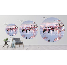 SPECIAL DECORATION Fotobehang vlies Flamingo ø 142,5 cm