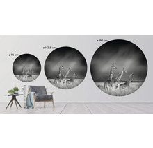 SPECIAL DECORATION Fotobehang vlies Giraffe zwart/wit ø 142,5 cm