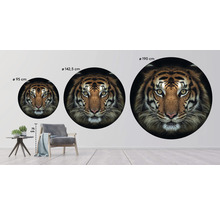 SPECIAL DECORATION Fotobehang vlies Tijger ø 142,5 cm