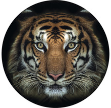 SPECIAL DECORATION Fotobehang vlies Tijger ø 142,5 cm