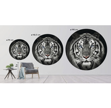 SPECIAL DECORATION Fotobehang vlies Tijger zwart/wit ø 142,5 cm