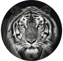 SPECIAL DECORATION Fotobehang vlies Tijger zwart/wit ø 142,5 cm