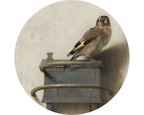 SPECIAL DECORATION Fotobehang vlies Carel Fabritius Het puttertje ø 142,5 cm Schilderij van een distelvink op een vogelkooi