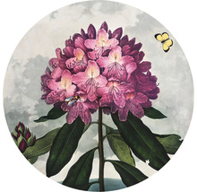 SPECIAL DECORATION Fotobehang vlies Thornton Rhododendron ø 142,5 cm