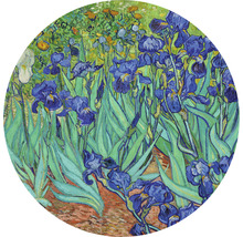 Schilderij van irissen naar Vincent van Gogh