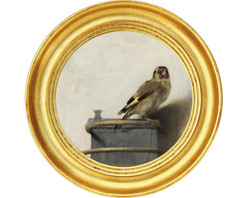 SPECIAL DECORATION Fotobehang vlies Carel Fabritius Het puttertje ø 142,5 cm Schilderij van een distelvink in een gouden lijst