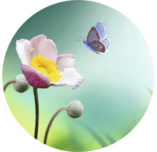 SPECIAL DECORATION Fotobehang vlies Bloem met vlinder ø 142,5 cm