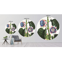 SPECIAL DECORATION Fotobehang vlies Thornton Passieflora ø 142,5 cm