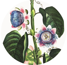 SPECIAL DECORATION Fotobehang vlies Thornton Passieflora ø 142,5 cm