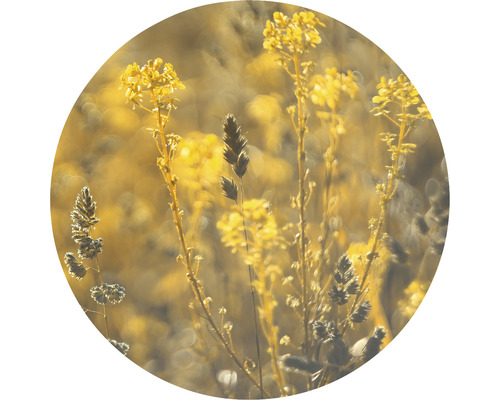 SPECIAL DECORATION Fotobehang vlies Meadow Grass ø 142,5 cm