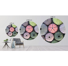 SPECIAL DECORATION Fotobehang vlies Zee egels ø 142,5 cm