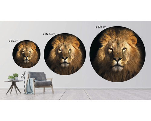 Drie ronde muurdecoraties met een leeuwenkop in de formaten 95 cm, 142,5 cm en 190 cm