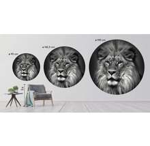 SPECIAL DECORATION Fotobehang vlies Leeuw zwart/wit ø 190 cm