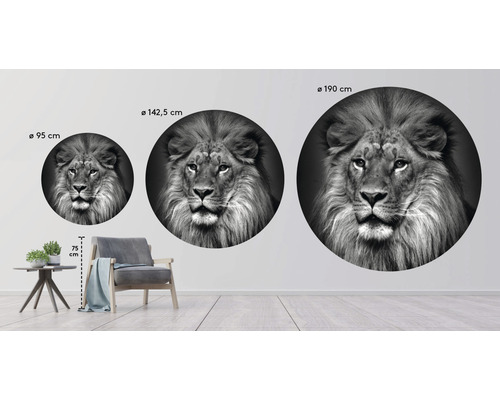 Muursticker met leeuwenmotief in drie maten