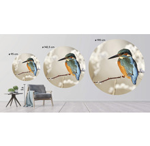 SPECIAL DECORATION Fotobehang vlies IJsvogel ø 190 cm
