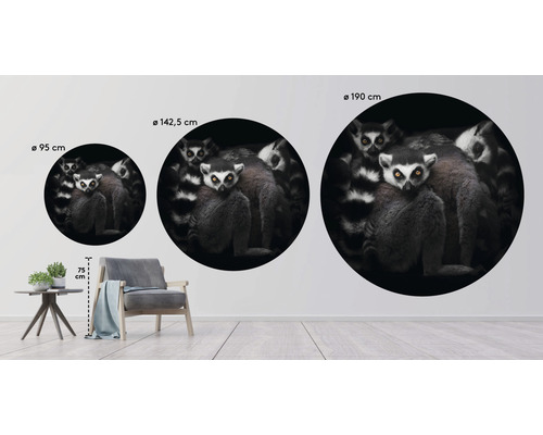 Drie ronde muurdecoraties met lemurenmotieven in verschillende formaten aan een muur, formaten variërend van 95 cm tot 190 cm