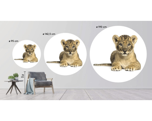Muursticker met leeuwenmotief in drie verschillende maten als kamerdecoratie