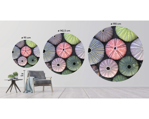 Muursticker met zee-egelmotief in drie formaten