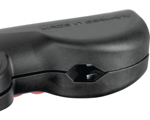 Gedetailleerd zicht op een buistang