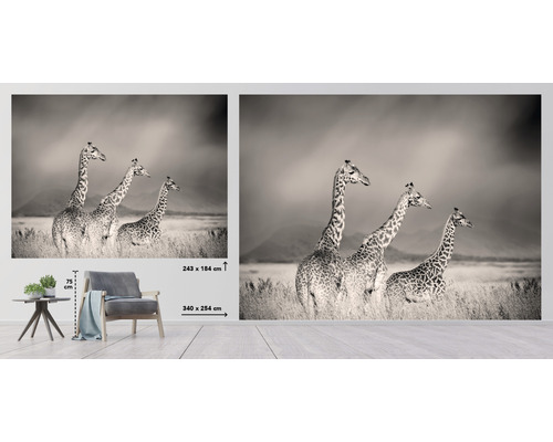 Fotobehang met giraffemotief in savanne-design