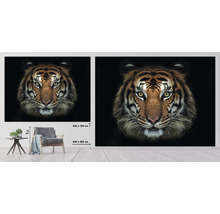 SPECIAL DECORATION Fotobehang vlies Tijger 243x184 cm