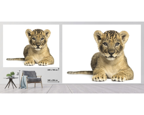 Decoratieve folie met leeuwenwelp motief