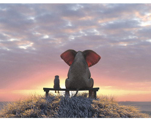 SPECIAL DECORATION Fotobehang vlies Olifant en hond I 243x184 cm Illustratie van een olifant en een vogel die op een bank zitten en naar de zonsondergang kijken