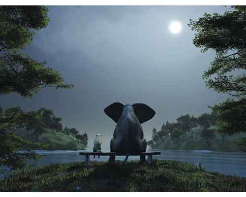 SPECIAL DECORATION Fotobehang vlies Olifant en hond II 243x184 cm Een olifant en een hond zitten op een bankje aan het water onder een maan
