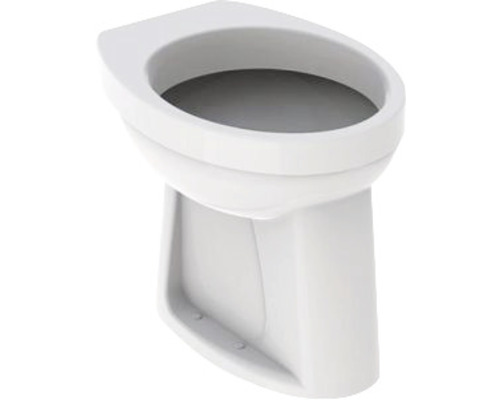 GEBERIT Staand toilet AO uitgang 300 Basic excl. wc-bril wit